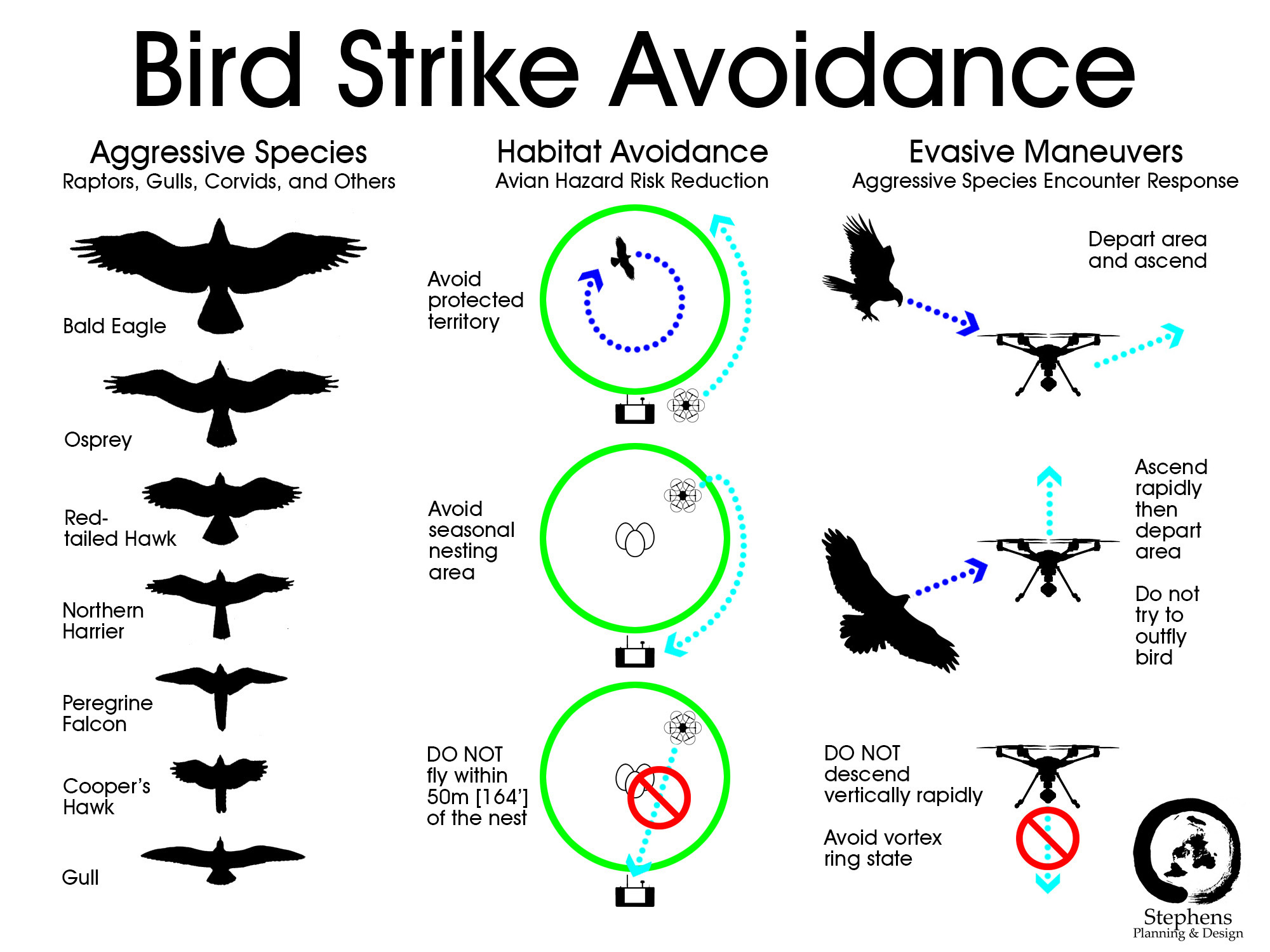 Bird Strike Avoidance
